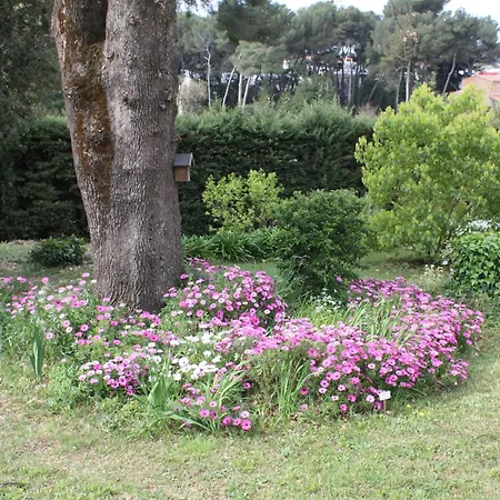 Ecole Buissonniere