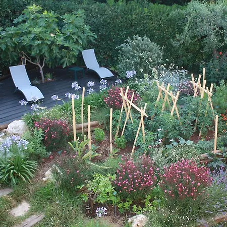 Ecole Buissonniere * Antibes